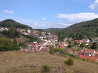 Wanderung im Iggelbacher Wald