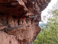 Wanderung zum Rehberg und zur Madenburg