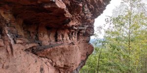 Wanderung zum Rehberg und zur Madenburg